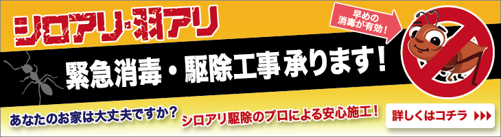 シロアリ・羽アリ 緊急消毒・駆除工事承ります！